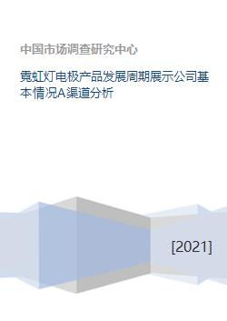 霓虹燈電極產品的生命周期與公司基礎軟件開發及渠道分析